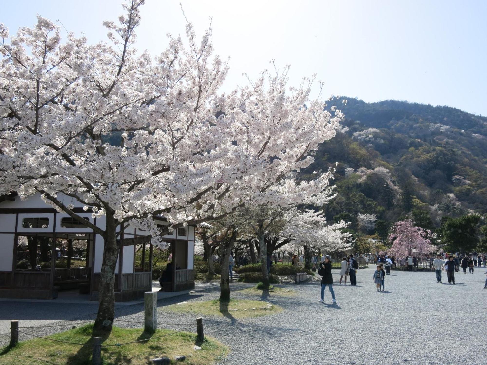 The Grandwest Arashiyama Aparthotel Kyoto Exterior foto